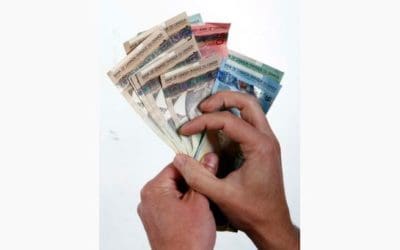 Where do your fees go?
