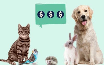This is what it costs to own a pet. Forewarned is forearmed.